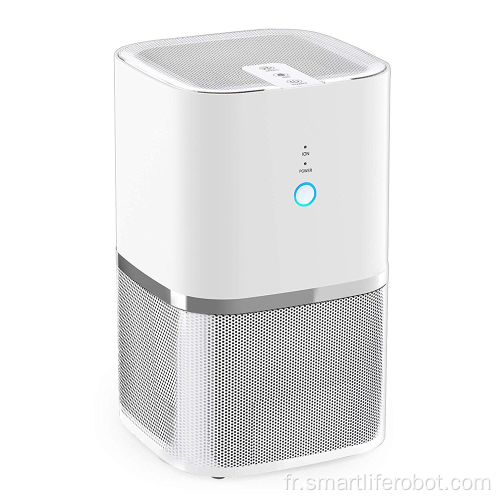 Purificateur d&#39;air à filtre True HEPA avec 3 filtres